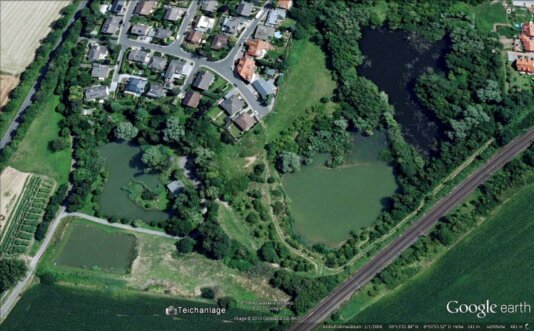 Angler hält Karpfen am Vereinsgewässer